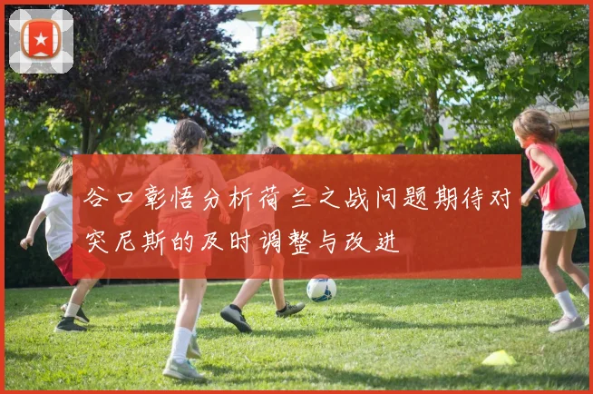 谷口彰悟分析荷兰之战问题期待对突尼斯的及时调整与改进